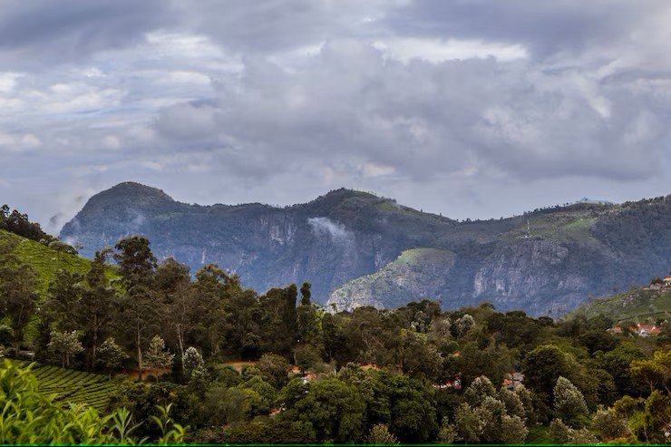 View from Green Valley